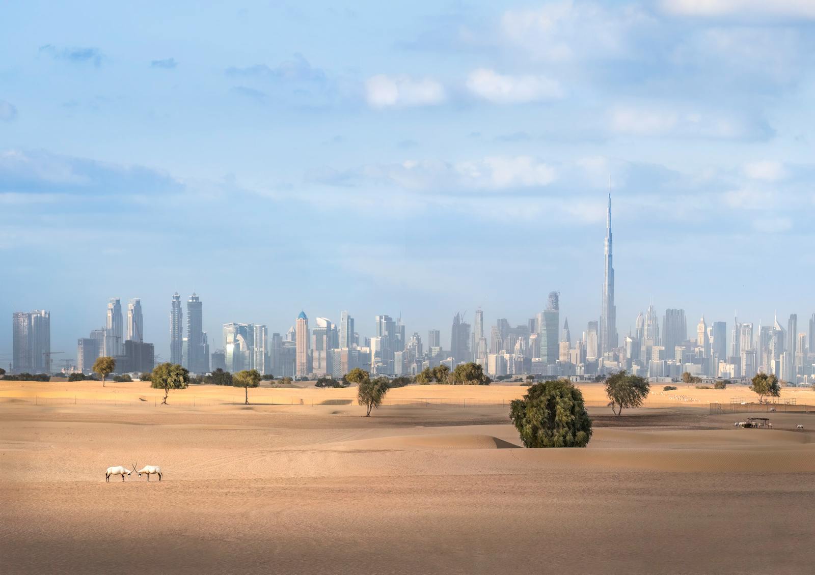 Exploring Dubai’s Community Resources: A Guide for Expats and Residents